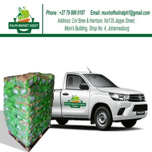 WhatsApp Image 2021-02-23 at 11.16.28 PM